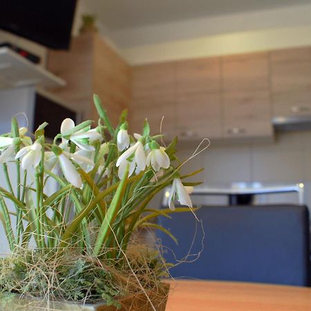 Apartments Martina ビビニェ エクステリア 写真